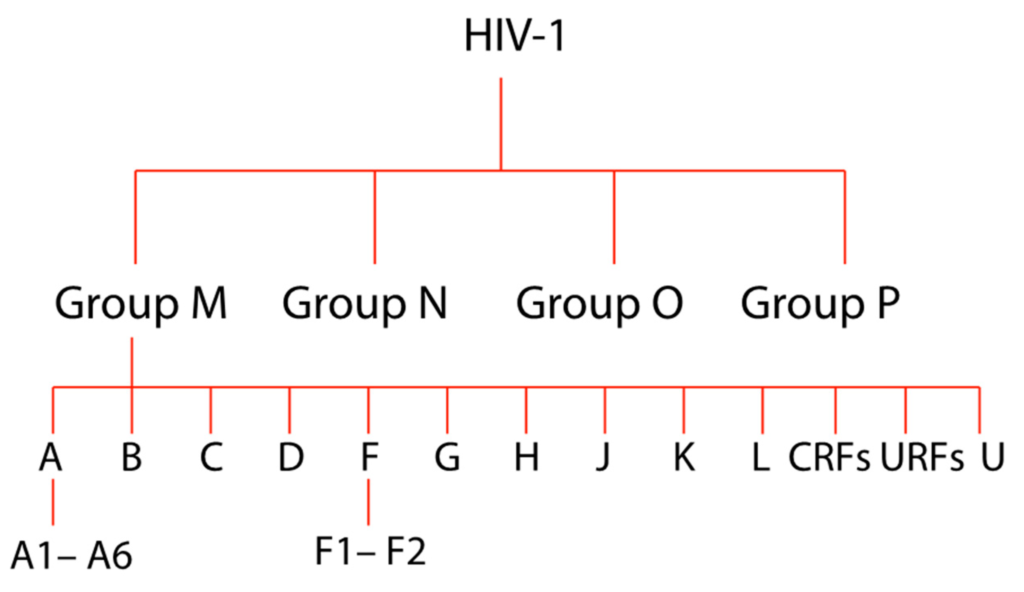 hiv-1